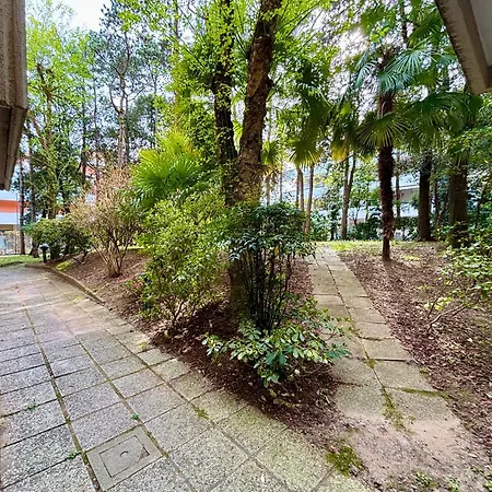 Apartment Pino